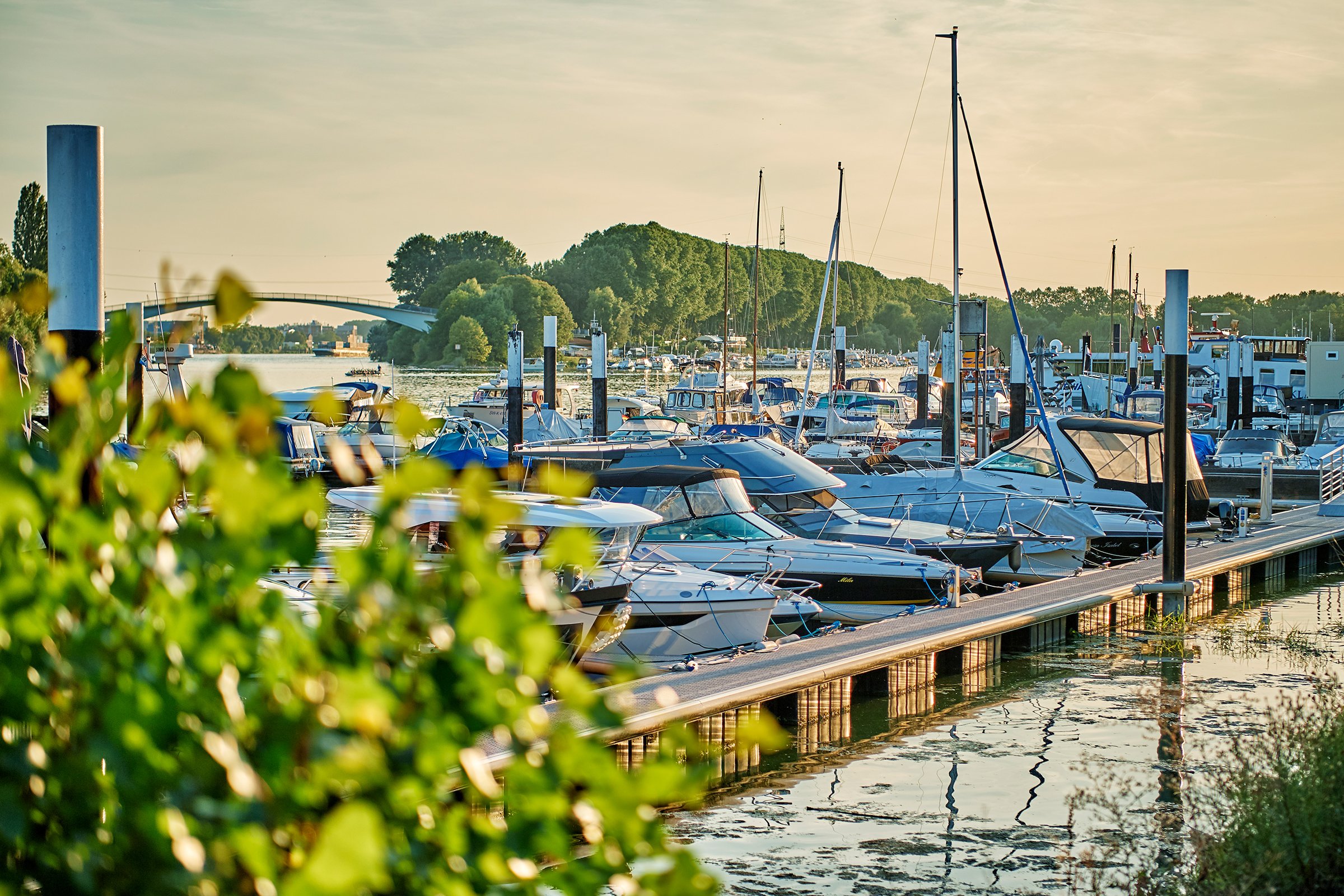 Wiesbaden Schiersteiner Hafen